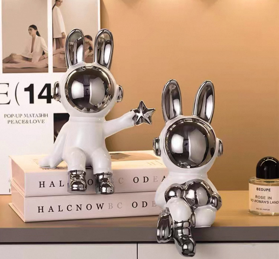 Astronaut Bunny